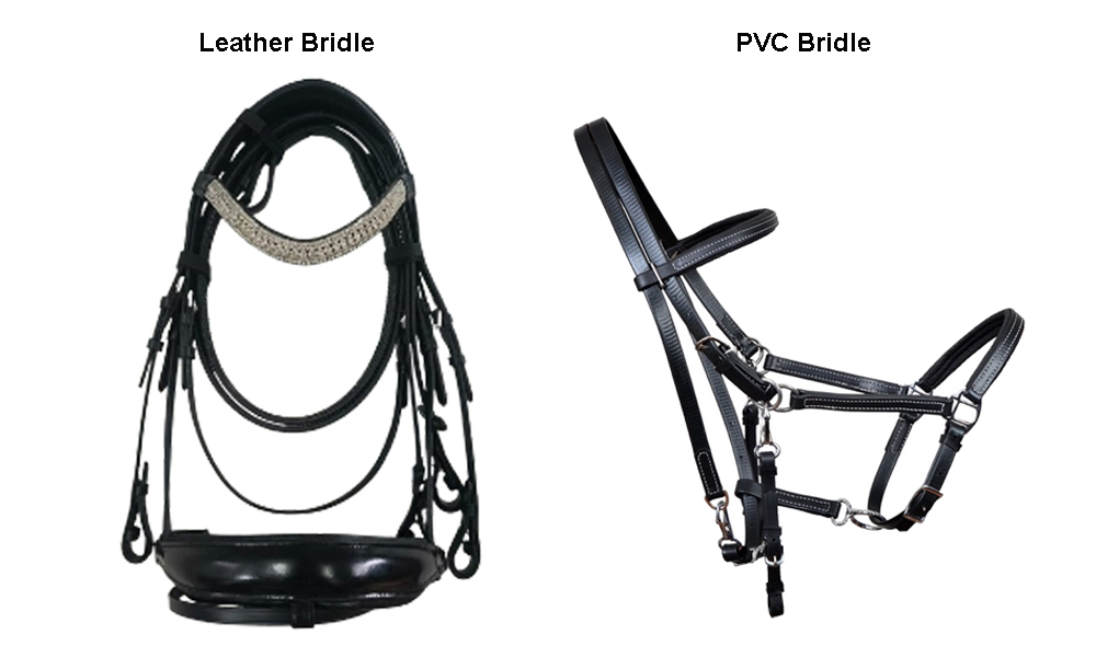 Leather Bridle